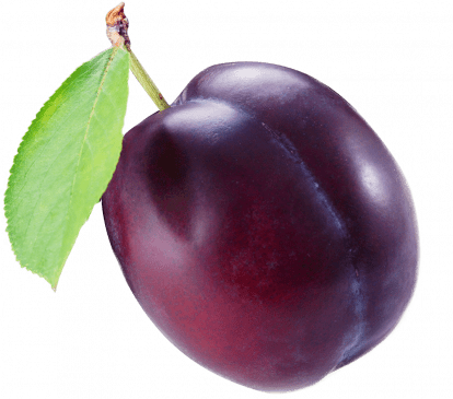 plum body shape